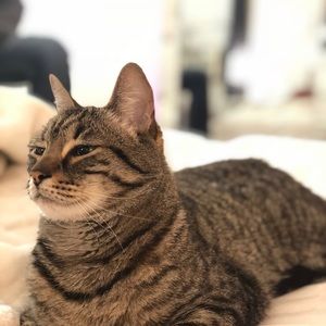 Meet your Posher, Lauren